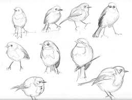 258x195 Pastel Drawing Of Robin