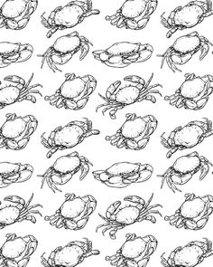 236x295 How To Draw A Crab Step By Step 2 New House Projects