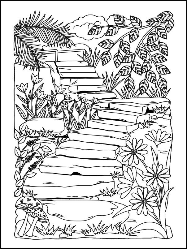 604x805 Twenty Coloring Pages For Grown Ups Coloring Books, Adult