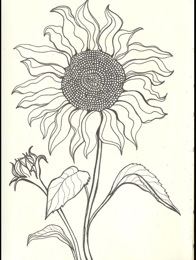 640x851 Sun Flower Tattoo Idea Pattern Flower Tattoos