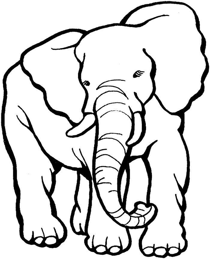 700x863 Elephant Template