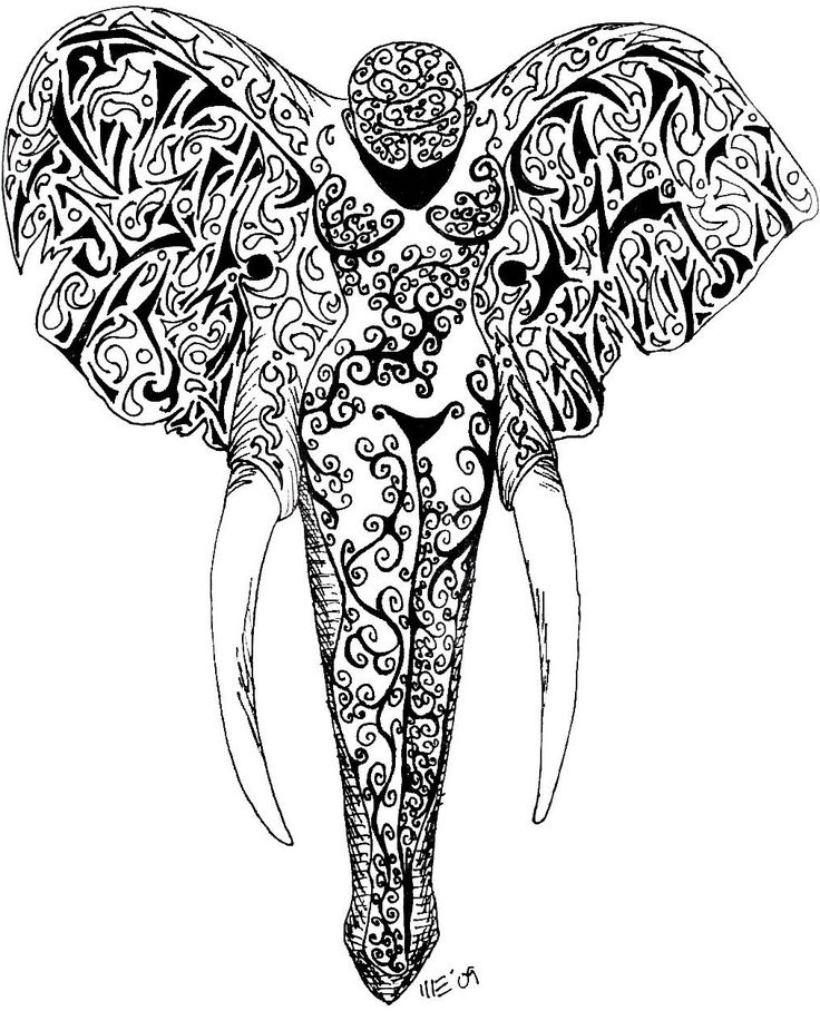 736x908 Collection Of Elephant Black White Line Art Tattoo Design