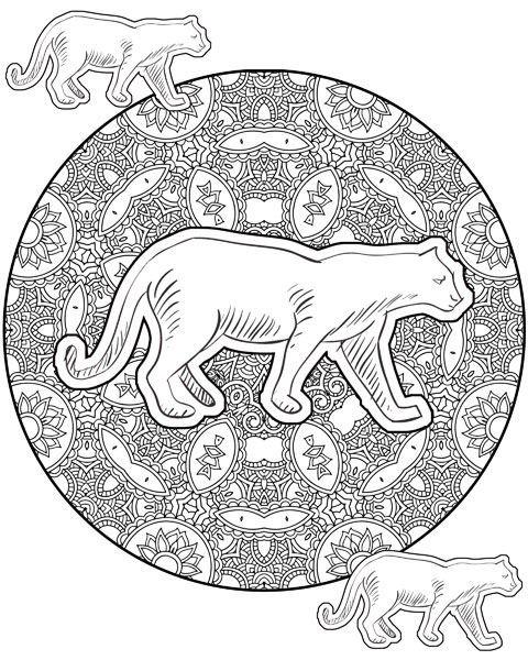 480x600 Coloring Animals For Fun