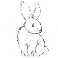 225x225 441 Best Art Animal Drawingpainting Ideas Images