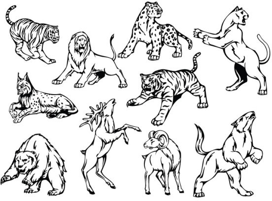552x408 Line Wild Animal Drawings Free Vector Download (101,554 Free