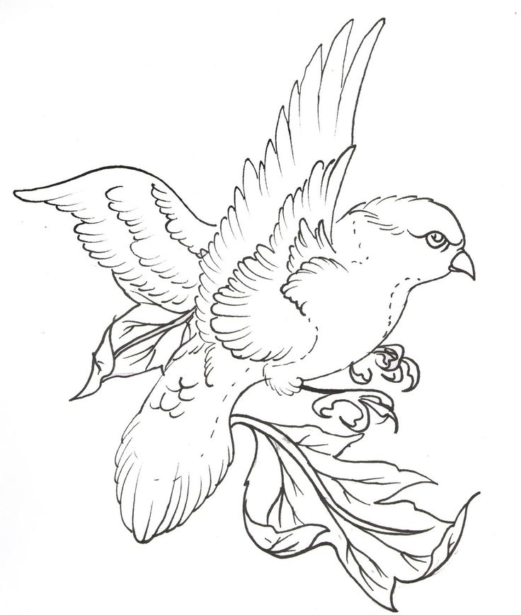 736x869 Polynesian Tattoo Line Drawings Line Drawing Line