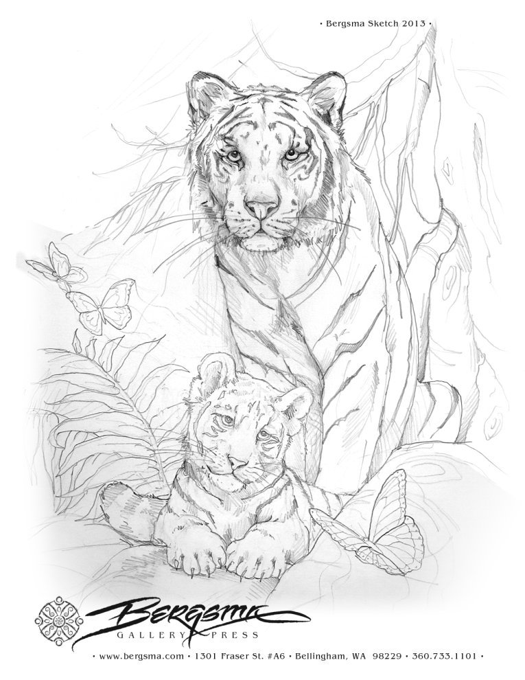 765x990 Tigers Art . Drawing Tigers, Adult Coloring