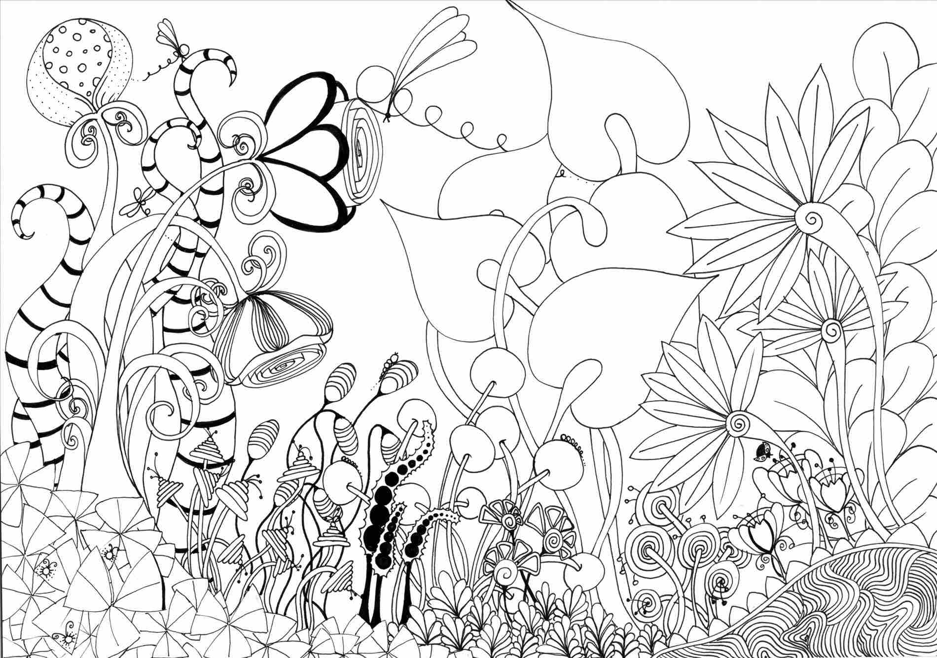 1900x1335 Art Image Xpmk Picture Jgrt Flower Garden Drawing Tumblr E Pencil
