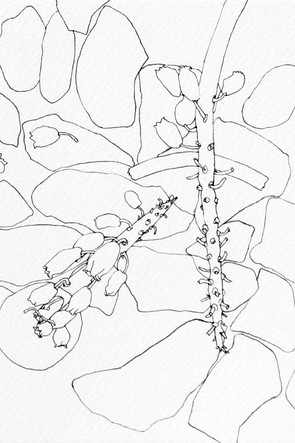 986x1480 Sarah Abercrombie Pavements