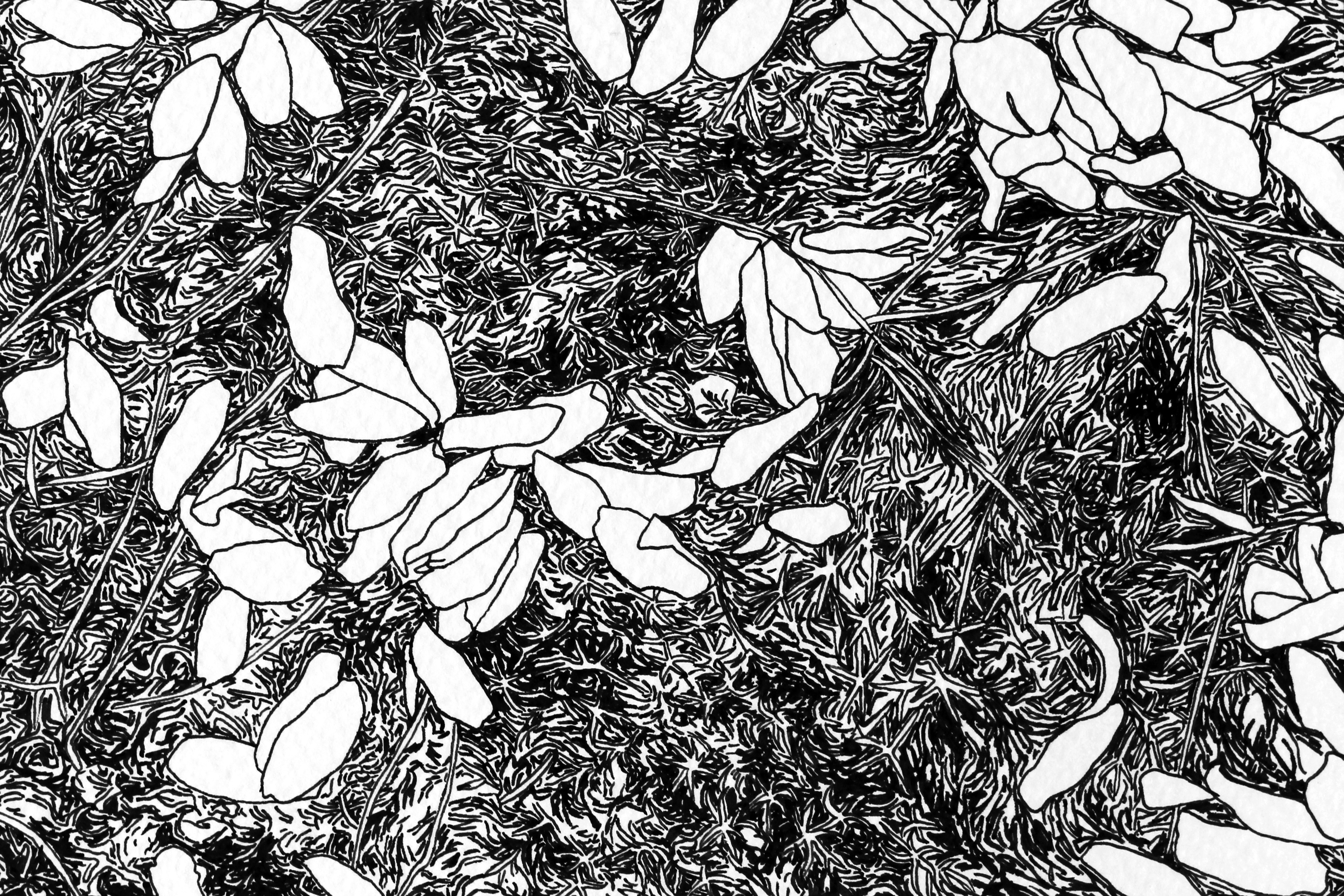 3594x2396 Sarah Jones Pavements