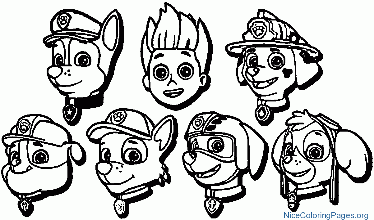 1203x709 How To Draw Paw Patrol And Coloring Pages