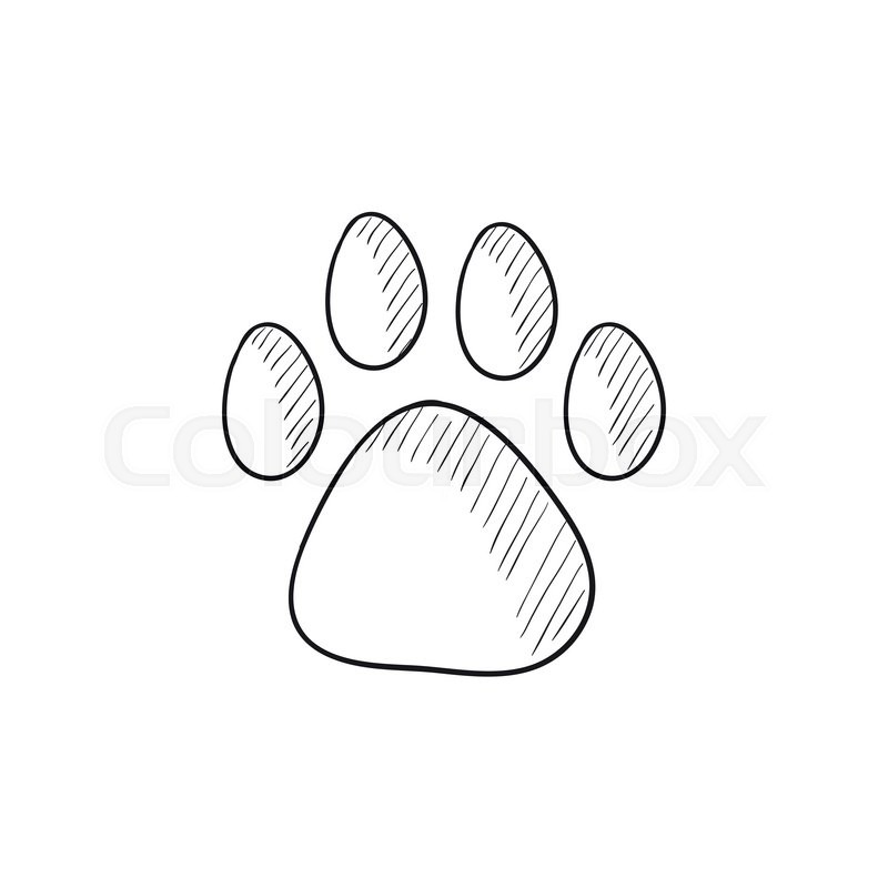 800x800 Paw Print Vector Sketch Icon Isolated On Background. Hand Drawn
