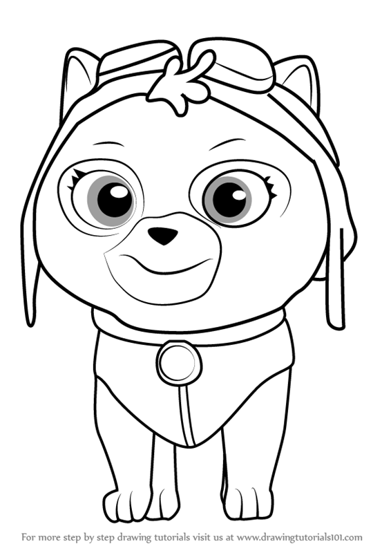 566x800 Learn How To Draw Cat Skye From Paw Patrol (Paw Patrol) Step By