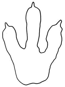 272x365 Dinosaur Paw Print Clipart