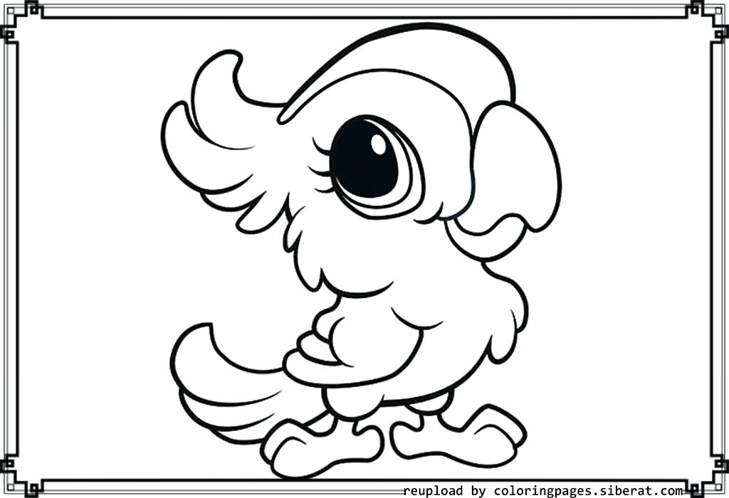 1024x700 Animal Print Coloring Pages More Images Of Coloring Pages Baby