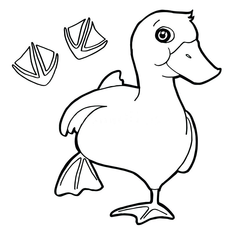 800x800 Paw Print Coloring Page Download Duck With Paw Print Coloring