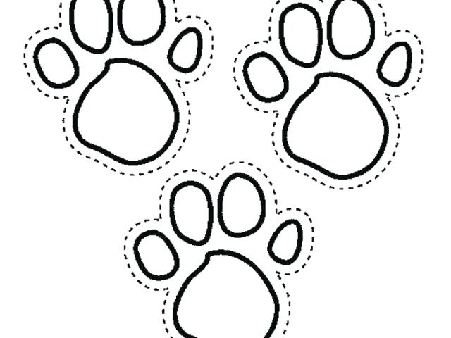 640x480 Paw Print Coloring Page