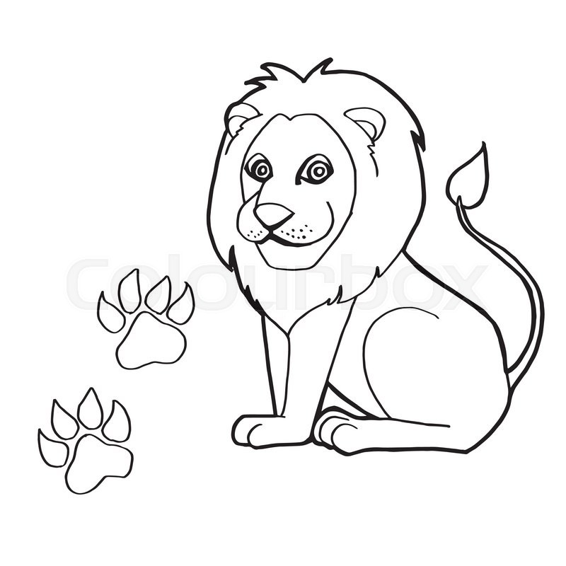 800x800 Image Of Paw Print With Lion Coloring Pages Vector Stock Vector