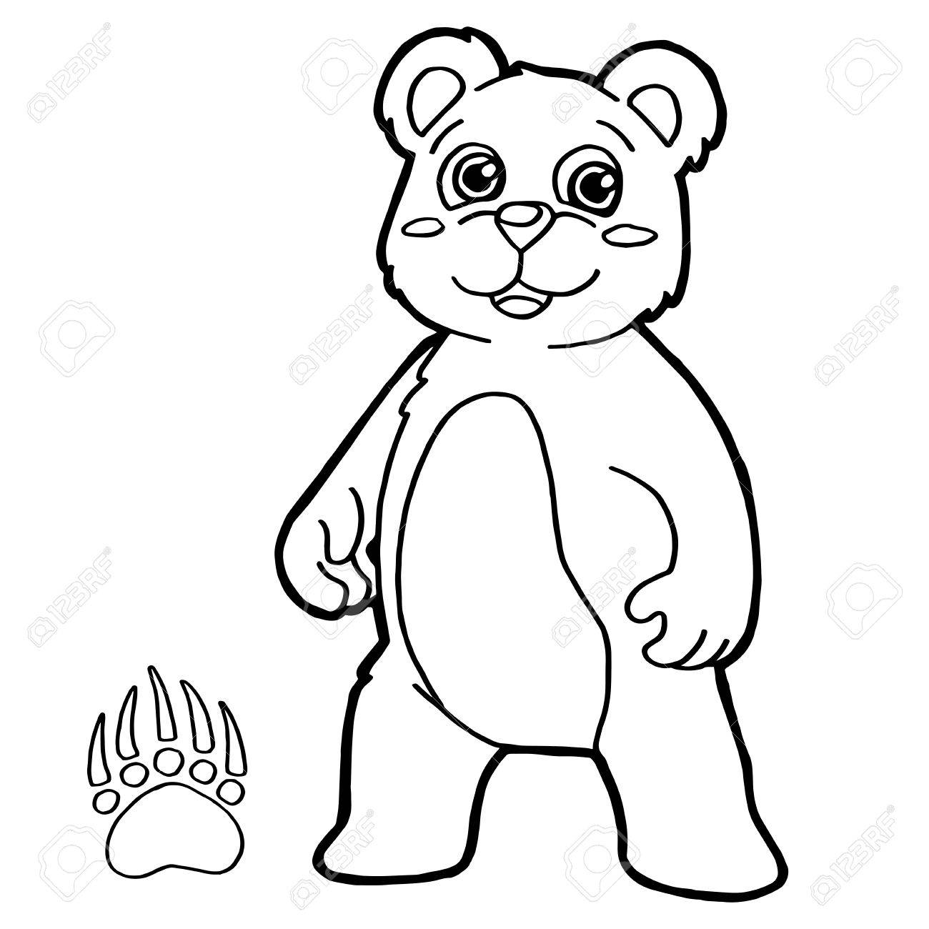 1300x1300 Bear With Paw Print Coloring Pages Vector Royalty Free Cliparts