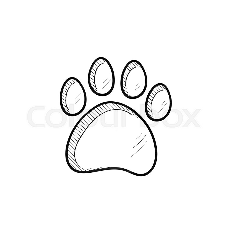 800x800 Vector Hand Drawn Paw Print Outline Doodle Icon. Paw Print Sketch