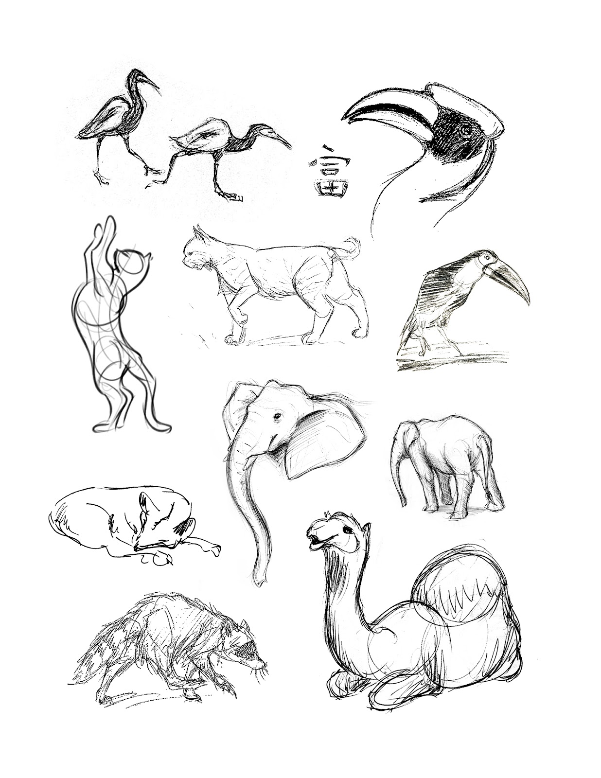 1236x1600 Drawing Animals