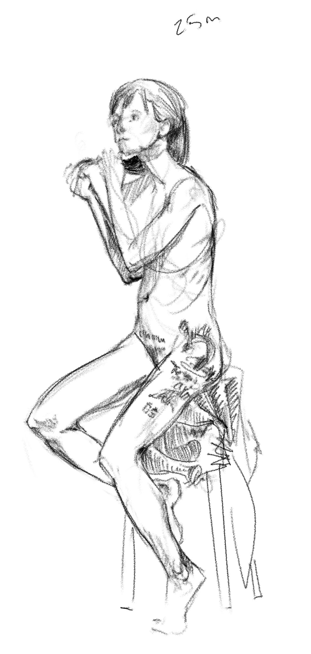 1056x2216 Figure Drawing On A Tablet Pc Christopher Lovejoy