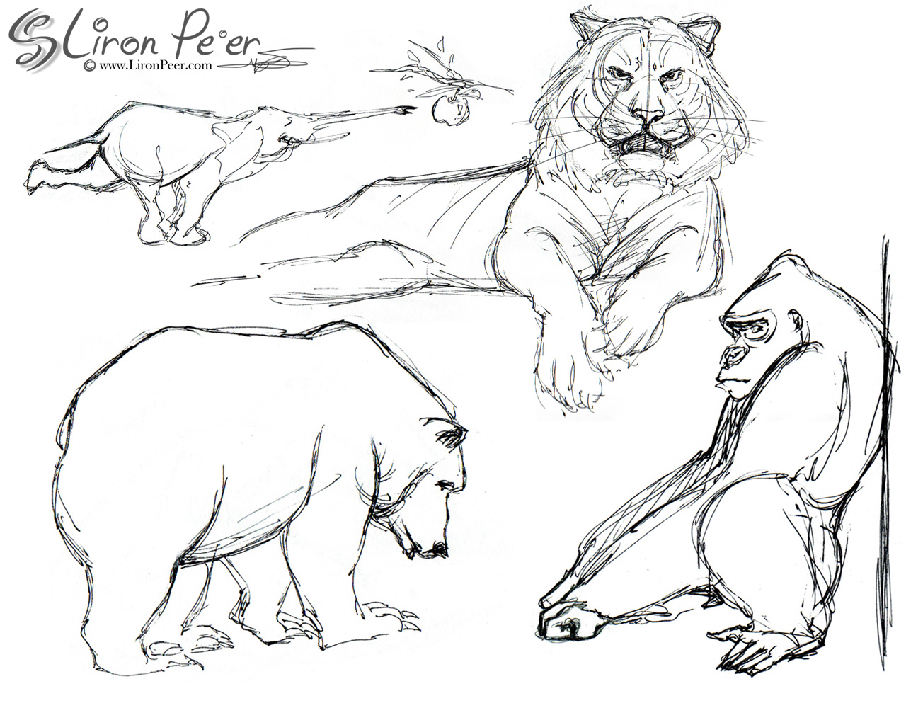 1280x1000 Liron Pe'Er