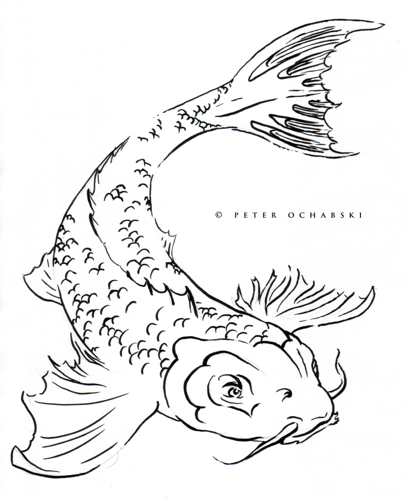 800x984 Catfish Drawing Group