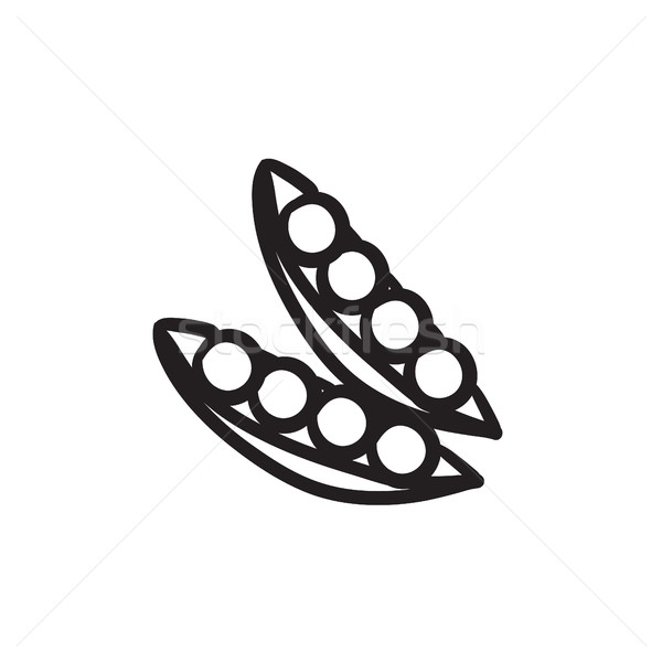 600x600 Legumes Stock Vectors, Illustrations And Cliparts Stockfresh