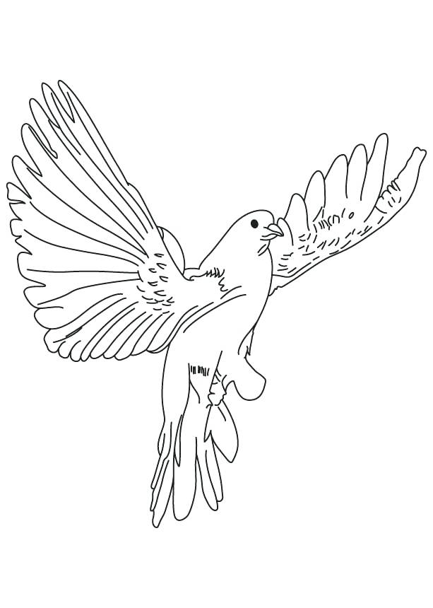613x860 Dove Coloring Page Flying Dove Coloring Page Bird Picture
