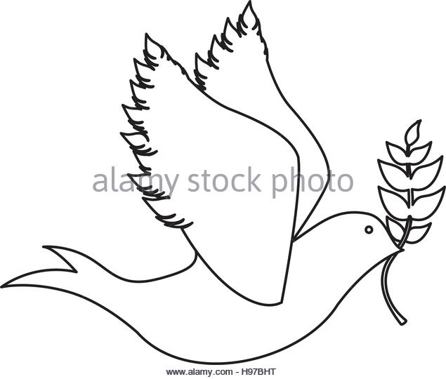 635x540 Peace Dove Black And White Stock Photos Amp Images