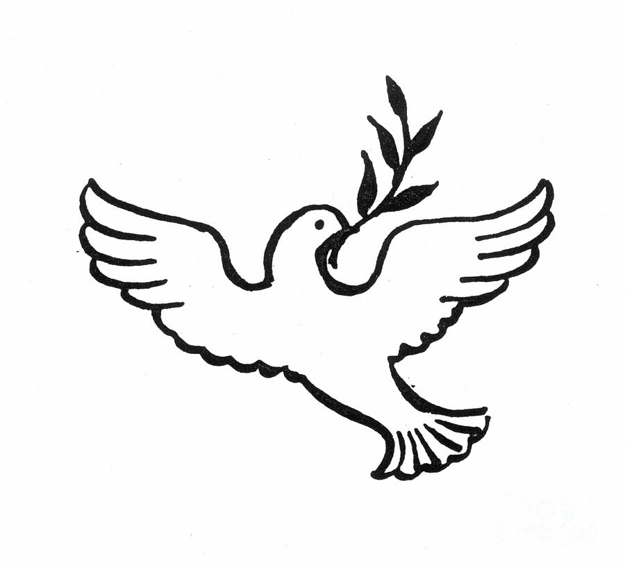 900x814 Peace Dove Photograph By Granger