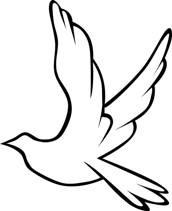 600x738 Vibrant Creative Peace Dove Coloring Page Pages 17 Bird