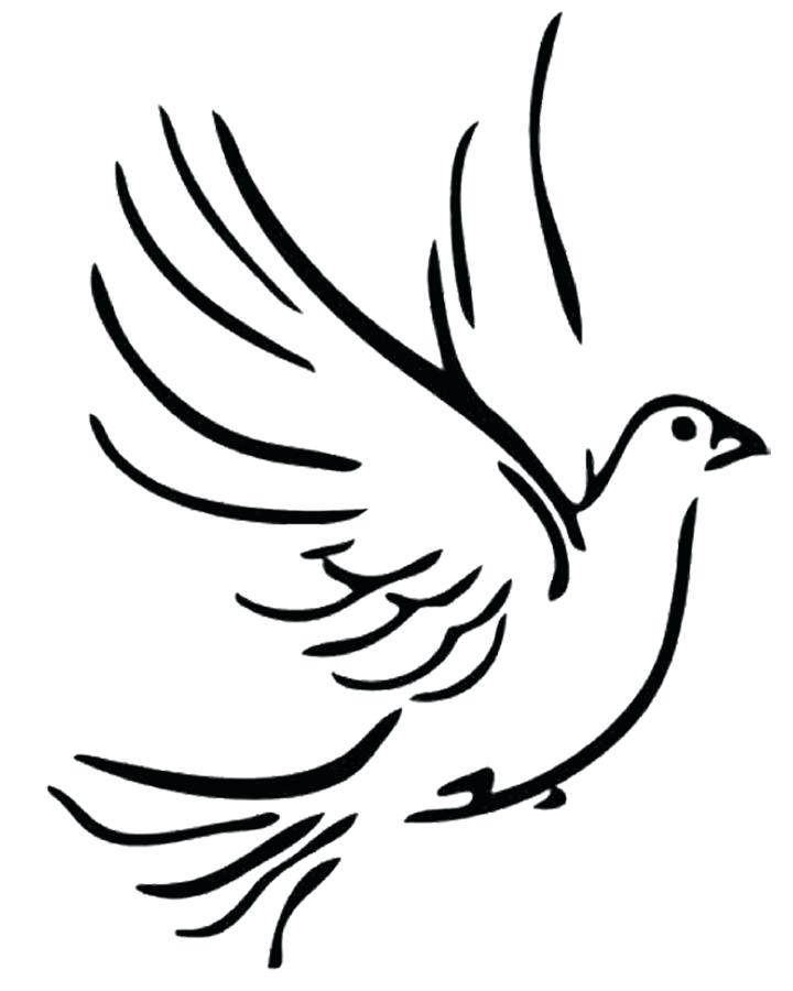 720x900 Dove Outline Drawing