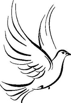 236x340 Holy Spirit Dove Drawing