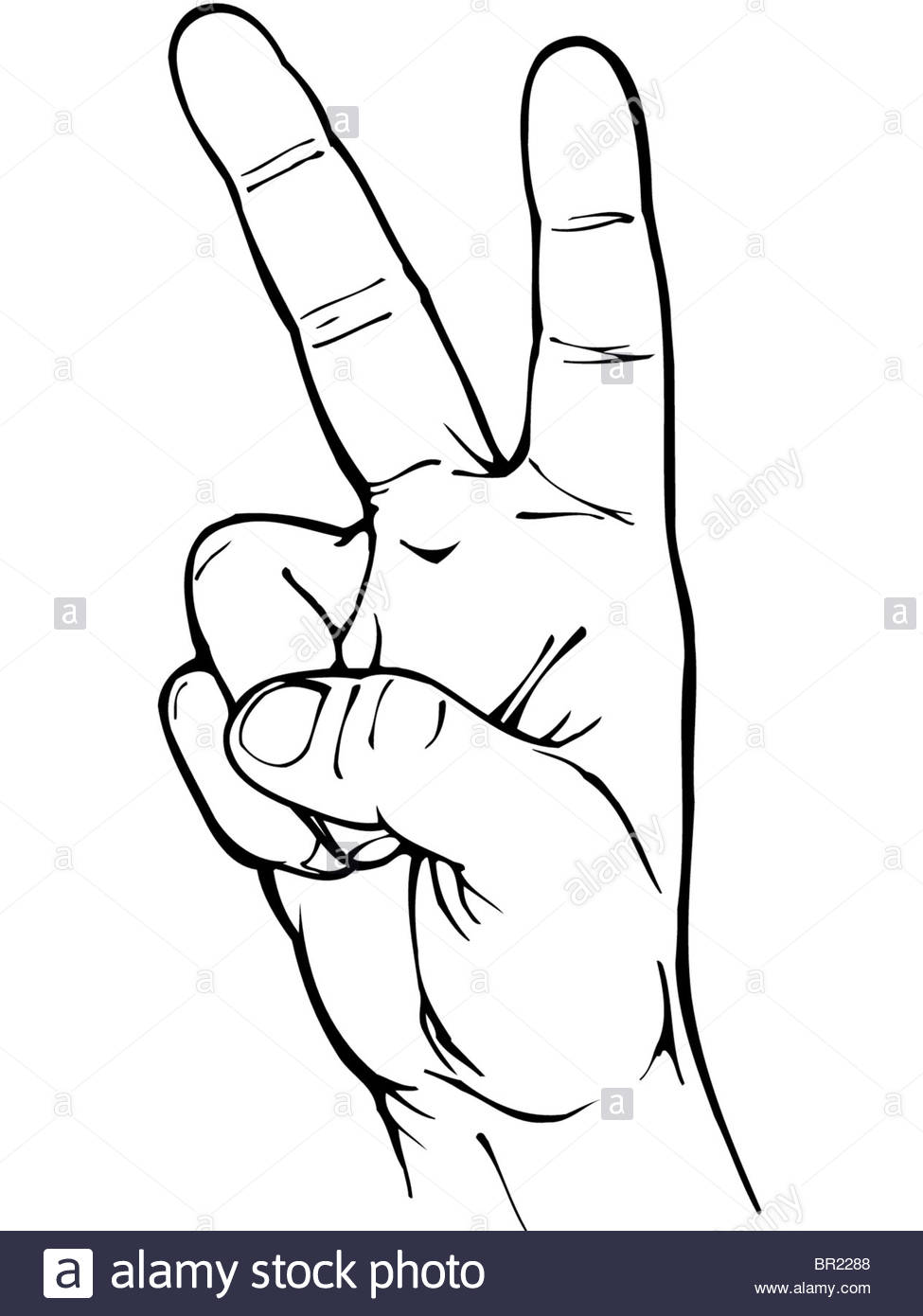 975x1390 A V Sign Hand Gesture Representing Peace Stock Photo 31393160