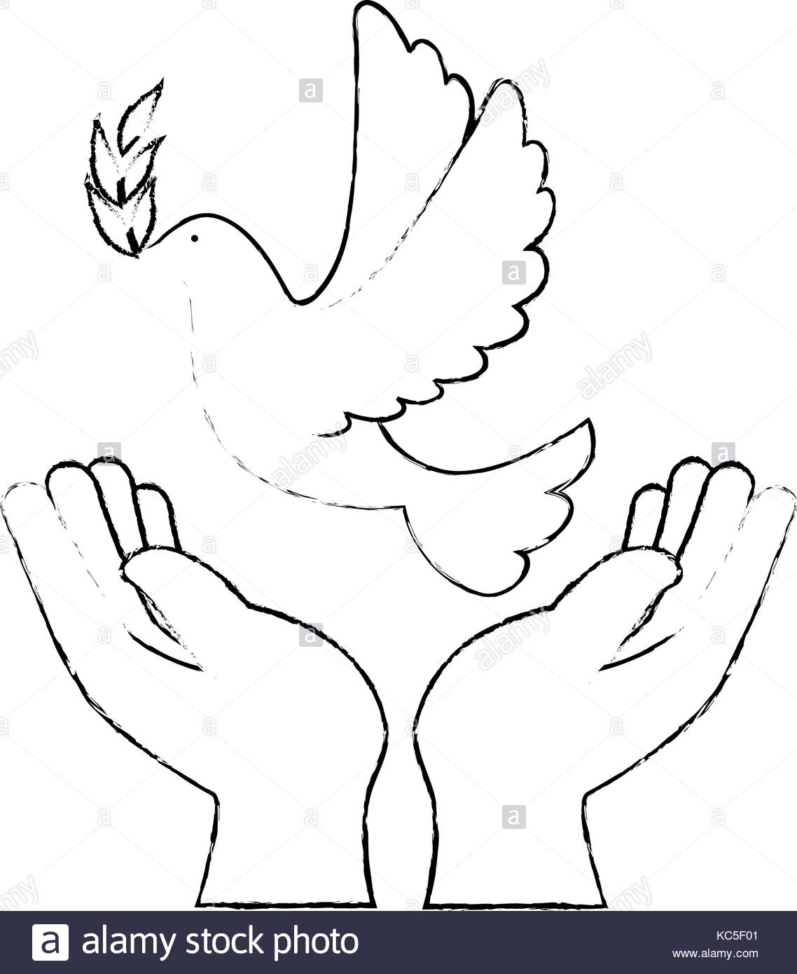 1138x1390 Dove Human Hands Peace Symbol Stock Photos Amp Dove Human Hands