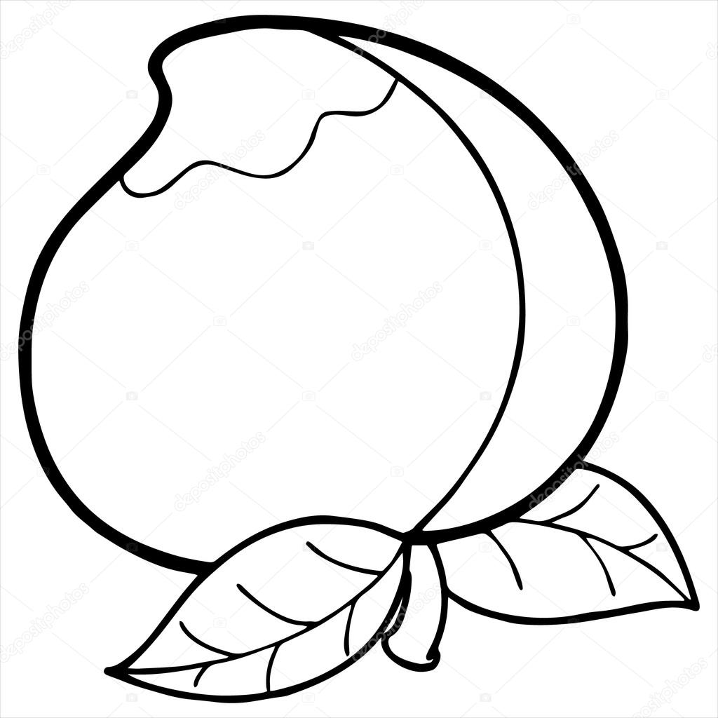 1024x1024 Image Result For Peach Line Drawing Tats Tatting