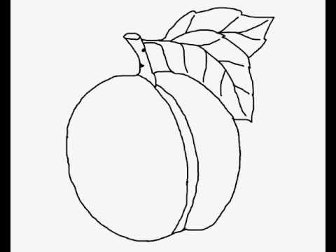 480x360 How To Draw A Peach How To Draw Peach