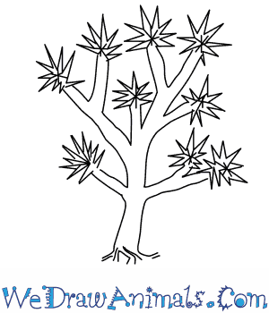 300x350 How To Draw A Joshua Tree