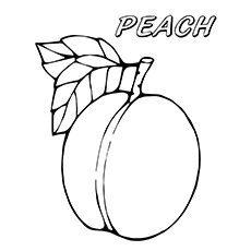 230x230 Image Result For Peach Line Drawing Tats Tatting