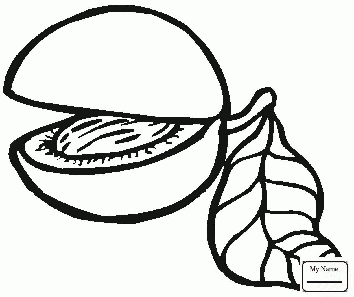 1224x1028 Coloring Pages Peaches Fruits Peach 10