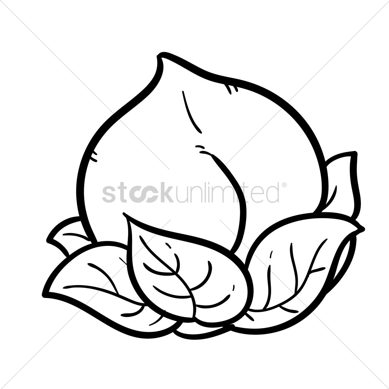1300x1300 Chinese Peach Vector Image