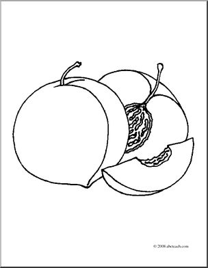 304x392 Clip Art Fruit Realistic Peaches (Coloring Page) I