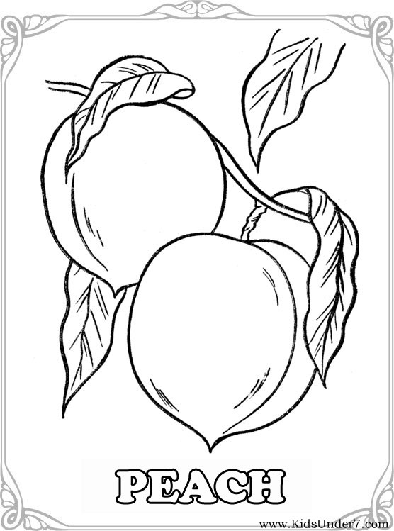 556x749 Cool Inspiration Peach Fruit Coloring Pages Peaches Free