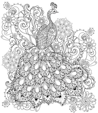 389x450 A Peacock's Fan Stock Photos. Royalty Free A Peacock's Fan Images