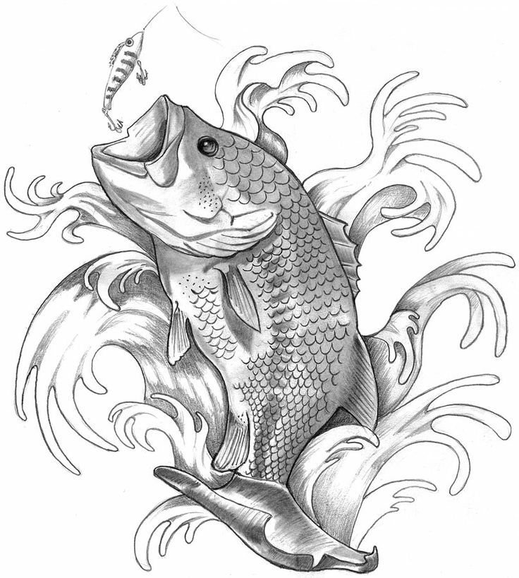 736x819 Bass Fish Tattoo Drawings Drawings
