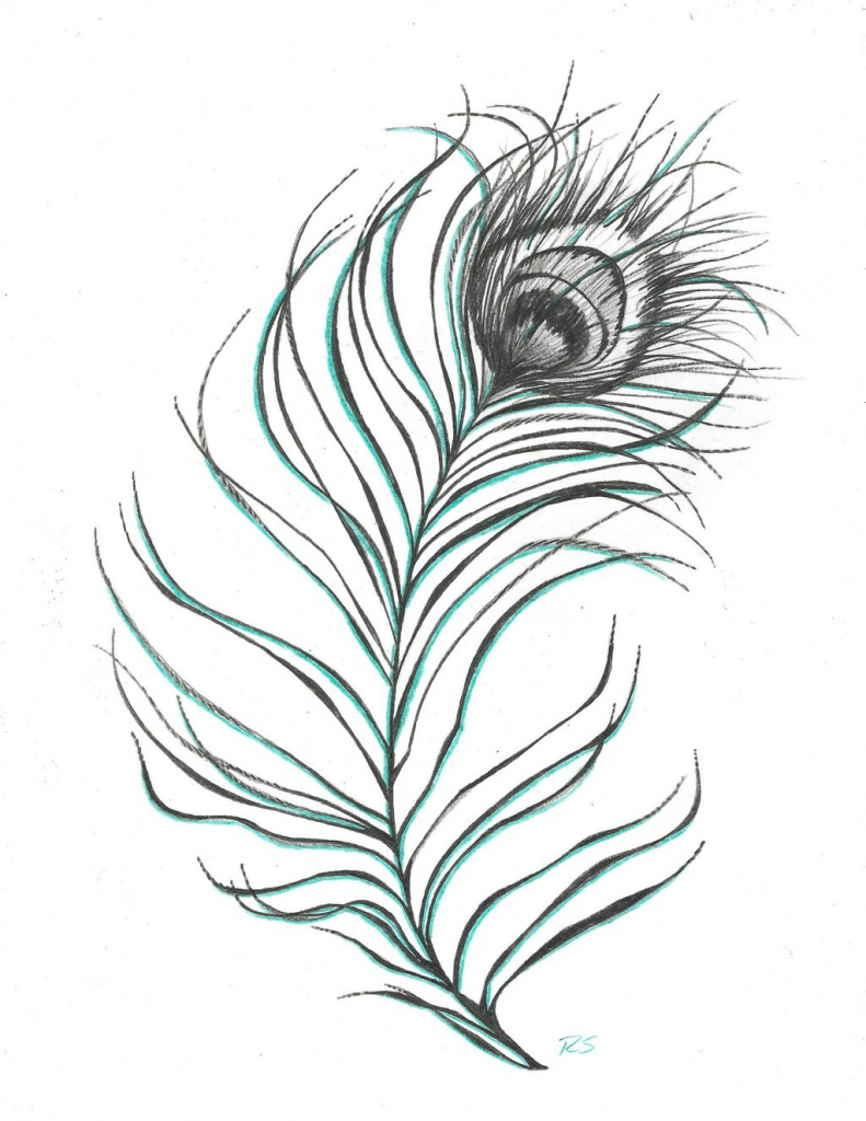 791x1024 Drawing Pencil Peacock Feathers Peacock Feather Rshaw87