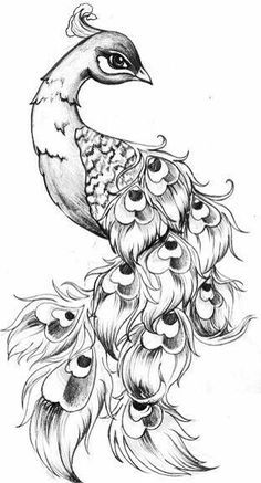 236x437 Stained Glass Peacock I Want To Make A Big One That Runs Down Our