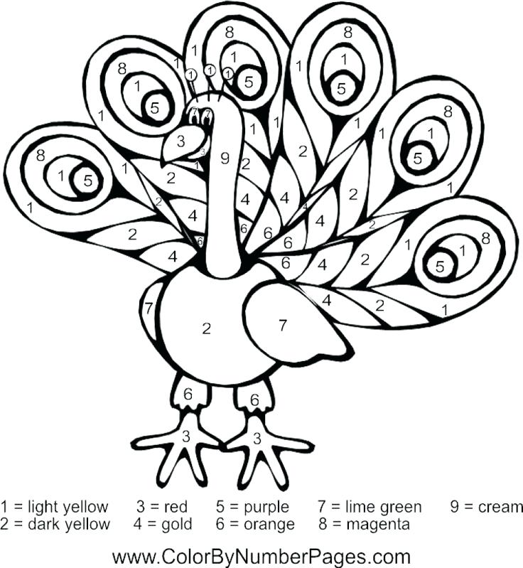 736x799 Peacock Feather Coloring Page Feather Coloring Page Peacock
